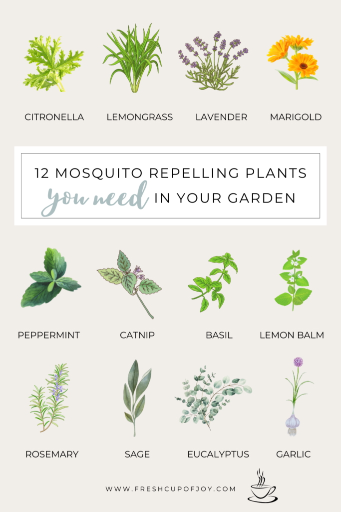 plants that repel mosquitos