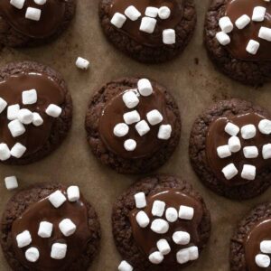 hot cocoa winter cookie recipes