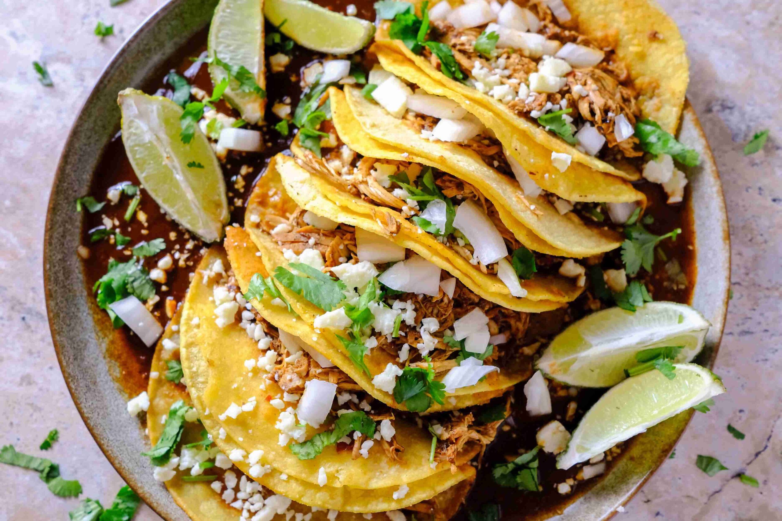plate with chicken birria slow cooker​