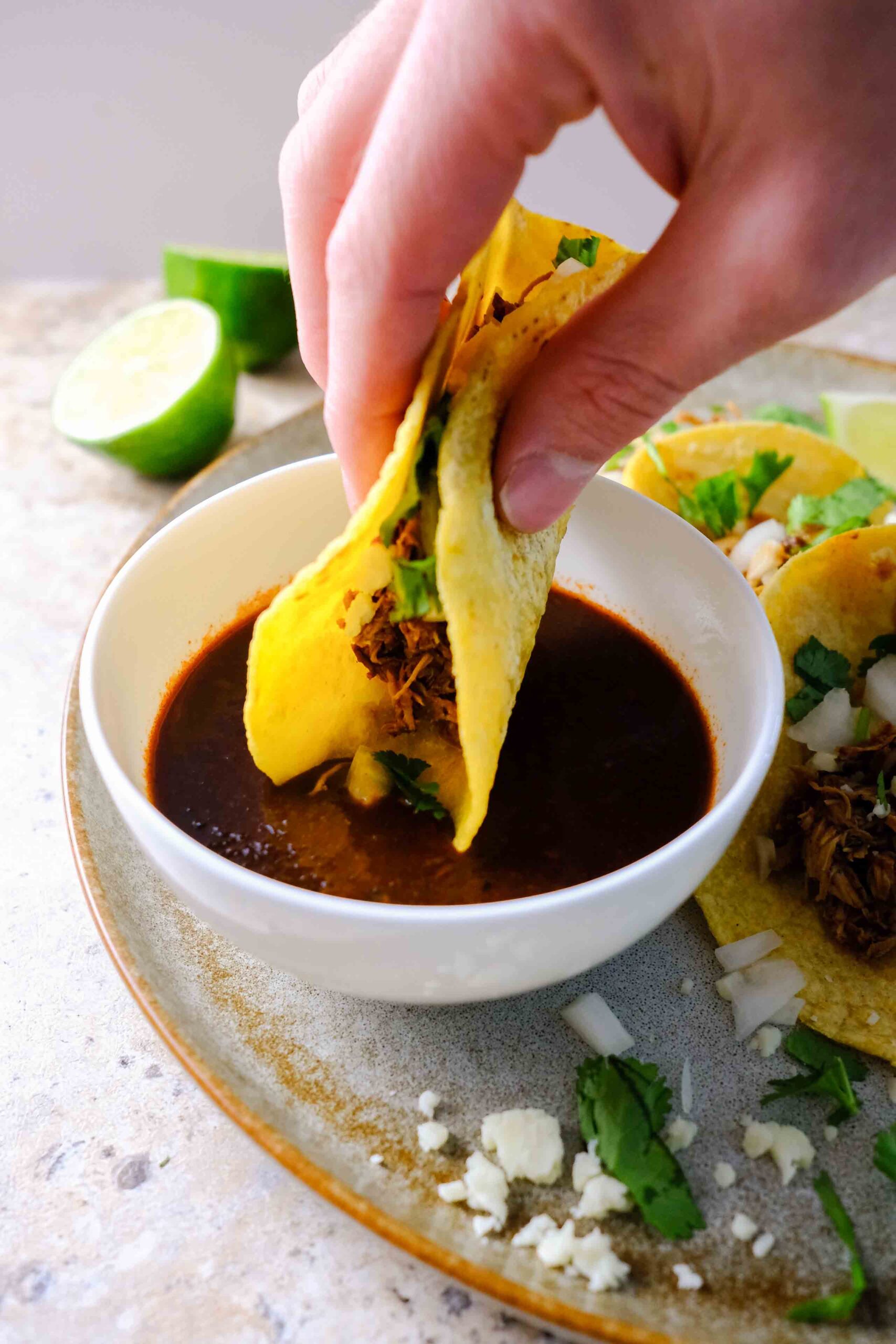 slow cooker chicken birria on a plate