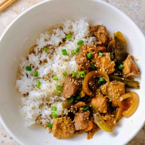 slow cooker honey garlic chicken
