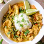 slow cooker yellow chicken curry​